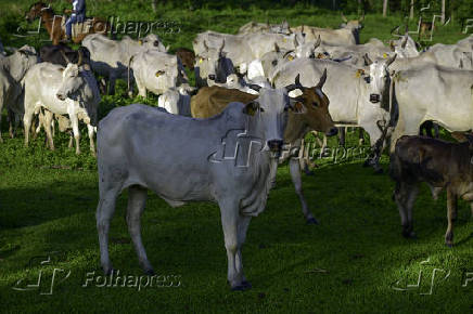 Propriedade rural no limite das cidade de So Jos dos Campos 