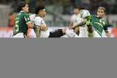 Brasileirao serie A: Palmeiras -Botafogo