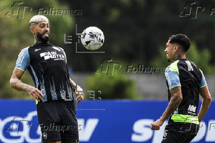 Entrenamiento del equipo brasileo Botafogo