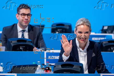 Alternative for Germany (AfD) holds federal conference in Riesa