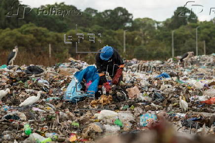 Pomona landfill in Harare, Zimbabwe