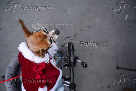 Christmas parade in La Paz