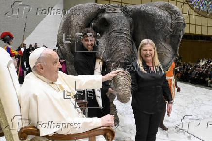 Dos elefantes robticos y un circo, protagonistas en la audiencia general del papa