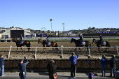 Horse Racing: Breeders' Cup Championship-Workouts