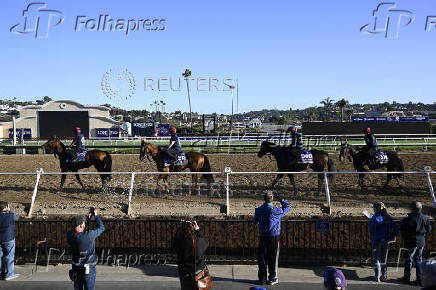 Horse Racing: Breeders' Cup Championship-Workouts