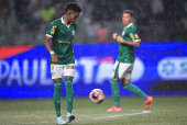 PAULISTA 2025, PALMEIRAS X BRAGANTINO