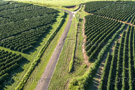 Vista area de uma estrada vicinal asfaltada ladeada por pastagens e plantaes de caf