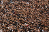 FUTEBOL-TORCIDAS