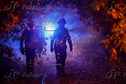 Forest fire in in Bornes de Aguiar, Portugal