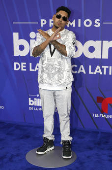 El negro y los diseos clsicos intervenidos dominaron la alfombra de los Latin Billboards