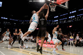 NBA: Charlotte Hornets at Brooklyn Nets