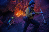 Wildfires in Los Angeles