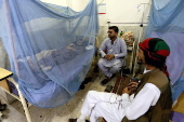 Dengue fever cases on rise in Peshawar