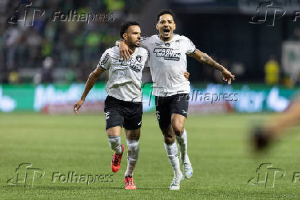 Palmeiras-Botafogo: Campeonato Brasileiro Serie A