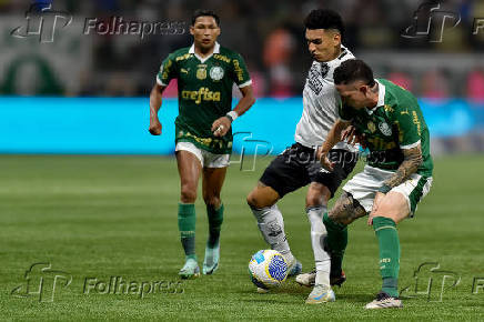 Partida entre Palmeiras e  Botafogo vlida pelo Campeonato Brasileiro 2024.