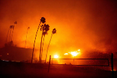 Palisades Fire burns during a windstorm on the west side of Los Angeles