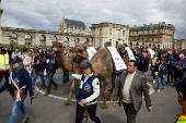 'The Amazing Parade' to mark the World Year of Camelids, in Vincennes