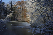 A warmth of the sun in winter in Copenhagen