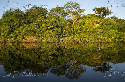 Paisagem no Rio Negro, na Amaznia