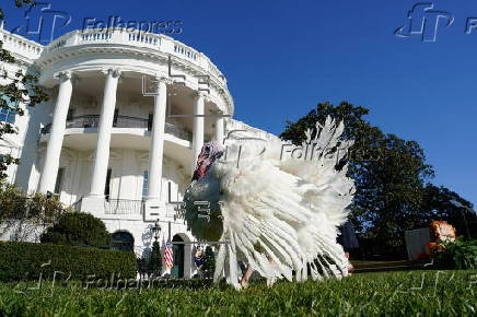 US President Biden pardons two turkeys on annual Thanksgiving tradition