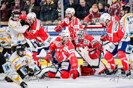 Spengler Cup 2024 - HC Dynamo Pardubice vs Kaerpaet Oulu