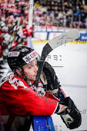 Spengler Cup 2024 - Team Canada vs Straubing Tigers