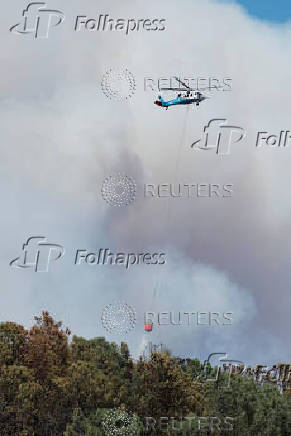 Wildfire near Forest Ranch, California