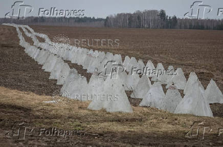 A view of newly built anti-tank fortifications, named 'dragon's teeth' near the Russian border in Chernihiv region