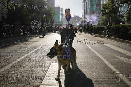 Protest to mark the International Day for the Elimination of Violence Against Women, in Mexico City