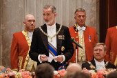 Felipe VI y Letizia realizan una visita de Estado a Pases Bajos