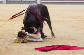 Feria de Octubre en Madrid