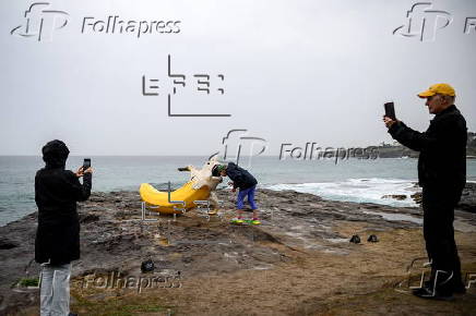 Sculpture by the Sea media launch event