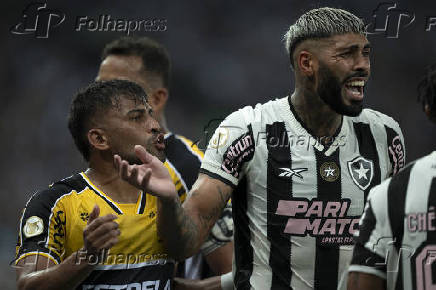 BRASILEIRO A 2024, BOTAFOGO X CRICIUMA