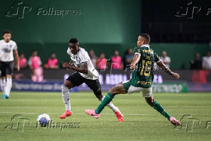 Palmeiras x Botafogo