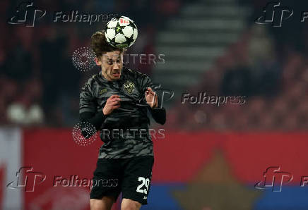 Champions League - Crvena Zvezda v VfB Stuttgart