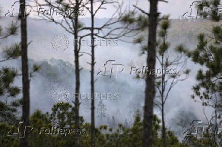 Wildfire razes pinelands near top Cuba tourist town of Vinales