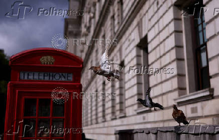 Dailylife in Westminster London