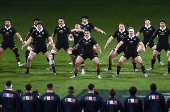 Autumn Internationals - Italy v New Zealand