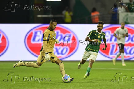 Partida entre PALMEIRAS X BOTAFOGO pelo Campeonato Brasileiro