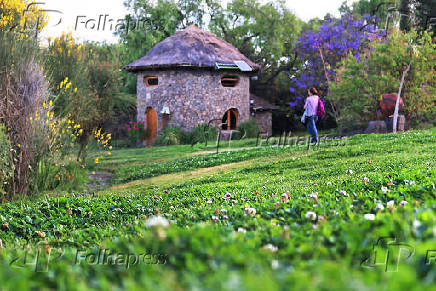 Especial Sustentabilidade - Folhapress