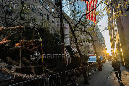 Rockefeller Christmas Tree is Delivered and Raised