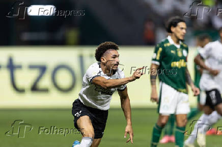 Palmeiras-Botafogo: Campeonato Brasileiro Serie A