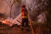 Forest fire in in Bornes de Aguiar, Portugal