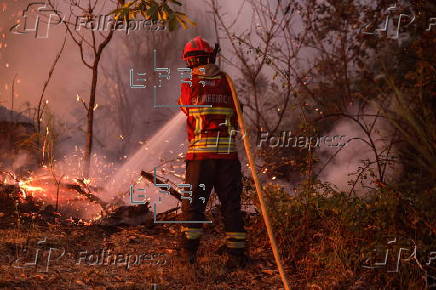 Forest fire in in Bornes de Aguiar, Portugal