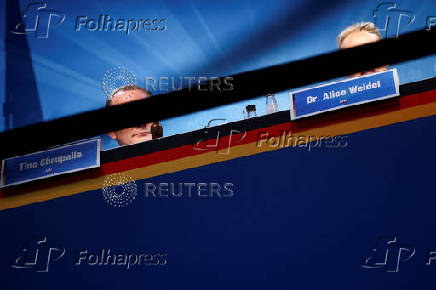 AFD press conference after Brandenburg elections