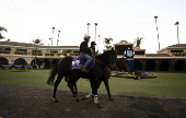 Horse Racing: Breeders' Cup Championship-Workouts