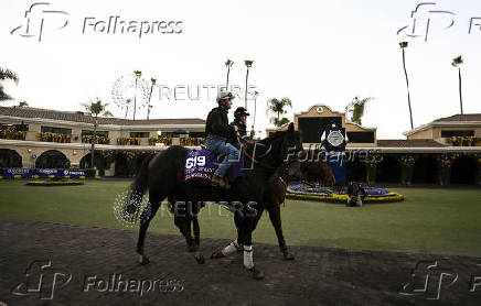 Horse Racing: Breeders' Cup Championship-Workouts