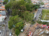 Forte chuva derrubou poste e rvore na zona leste de SP