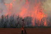 Incndio atinge canavial em Guariba