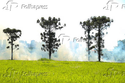 INCENDIO EM AREA URBANA DE LONDRINA - PR